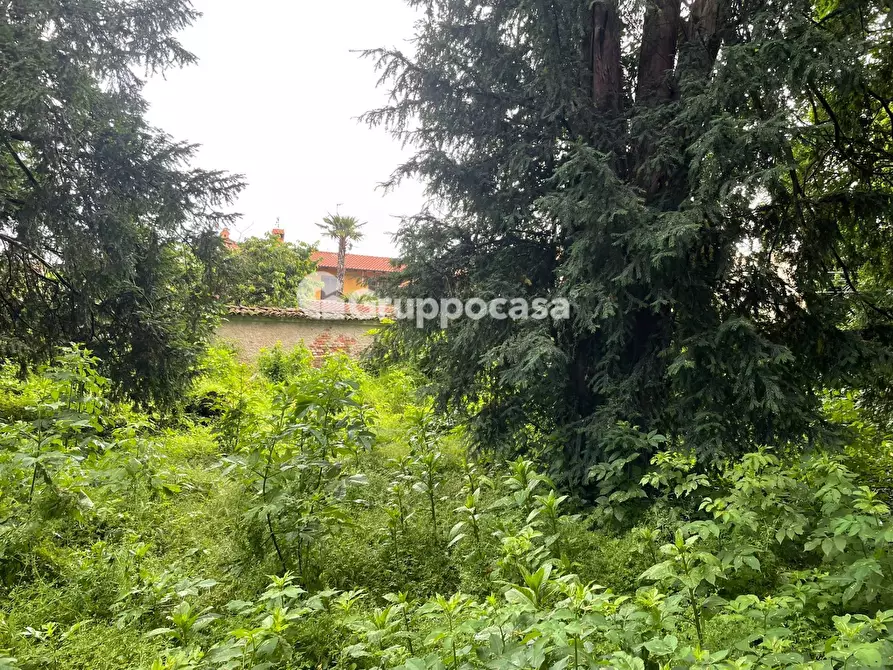 Immagine 29 di Villa in vendita  in Via Roma a Bernate Ticino