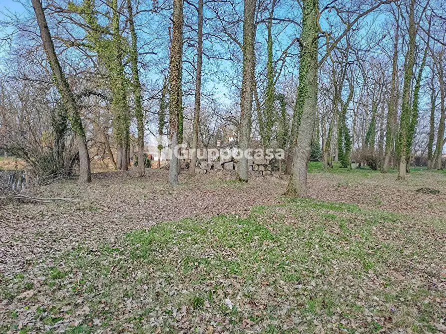 Immagine 39 di Villa in vendita  in Bosco Piarda 2 a Bernate Ticino