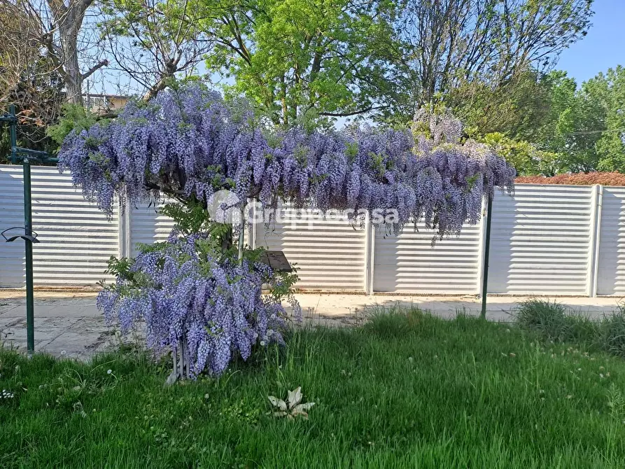 Immagine 19 di Appartamento in vendita  in Via Cusago 59 a Bareggio