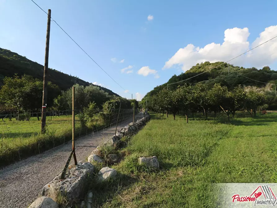 Immagine 2 di Terreno agricolo in vendita  in Strada Del Borago a Verona