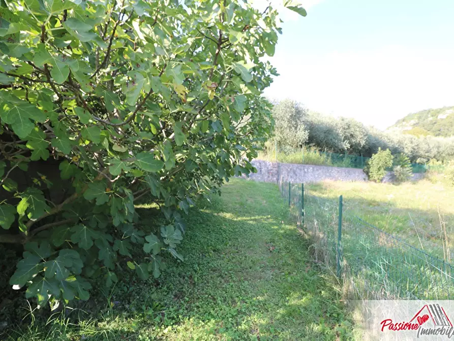 Immagine 3 di Terreno agricolo in vendita  in Strada Del Borago a Verona