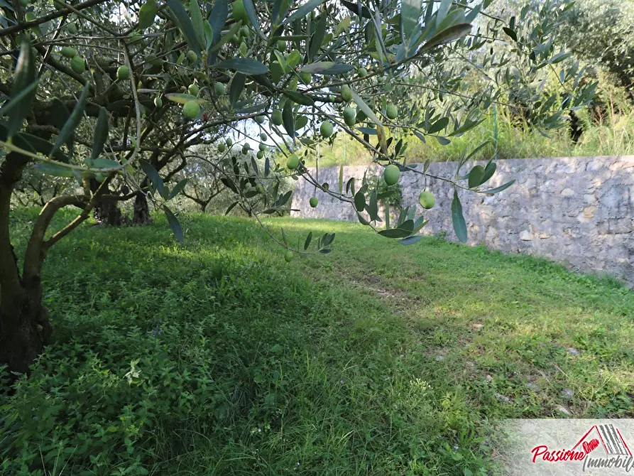 Immagine 4 di Terreno agricolo in vendita  in Strada Del Borago a Verona