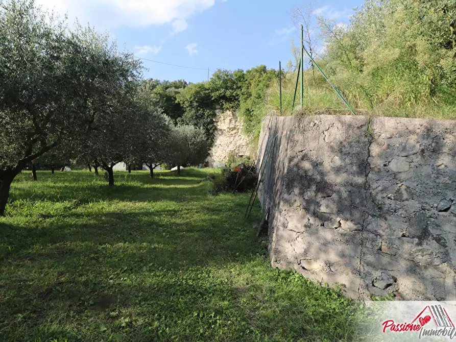 Immagine 6 di Terreno agricolo in vendita  in Strada Del Borago a Verona
