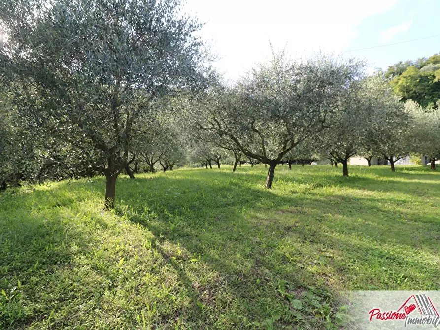 Immagine 7 di Terreno agricolo in vendita  in Strada Del Borago a Verona