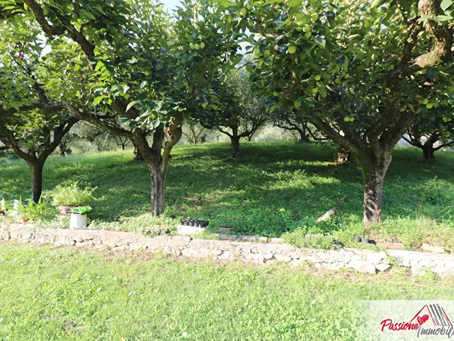 Immagine 8 di Terreno agricolo in vendita  in Strada Del Borago a Verona
