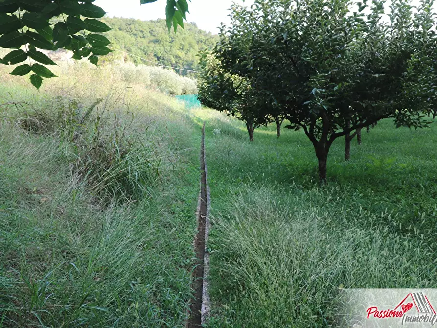 Immagine 9 di Terreno agricolo in vendita  in Strada Del Borago a Verona