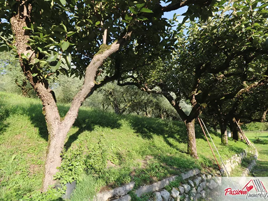 Immagine 10 di Terreno agricolo in vendita  in Strada Del Borago a Verona