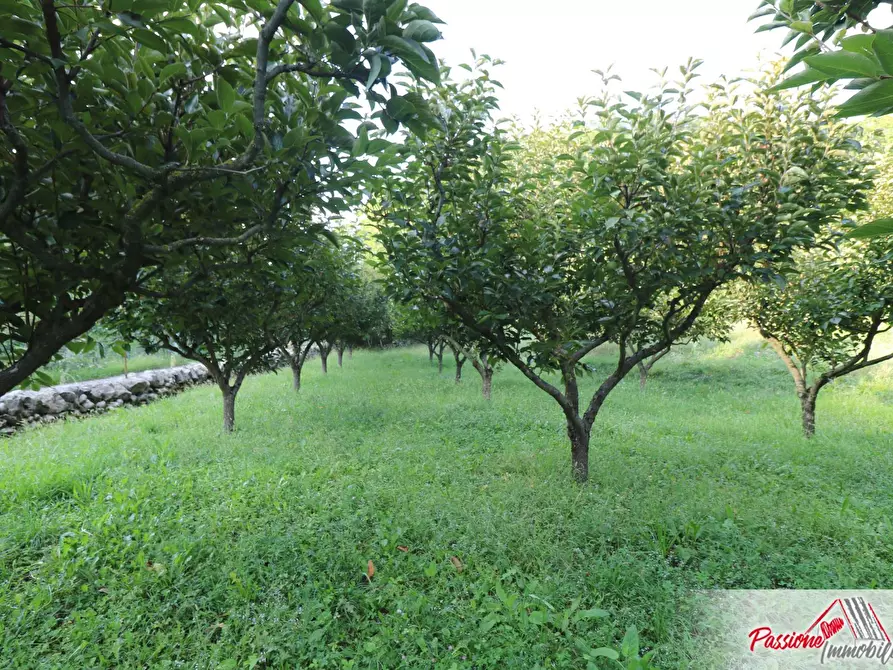 Immagine 11 di Terreno agricolo in vendita  in Strada Del Borago a Verona