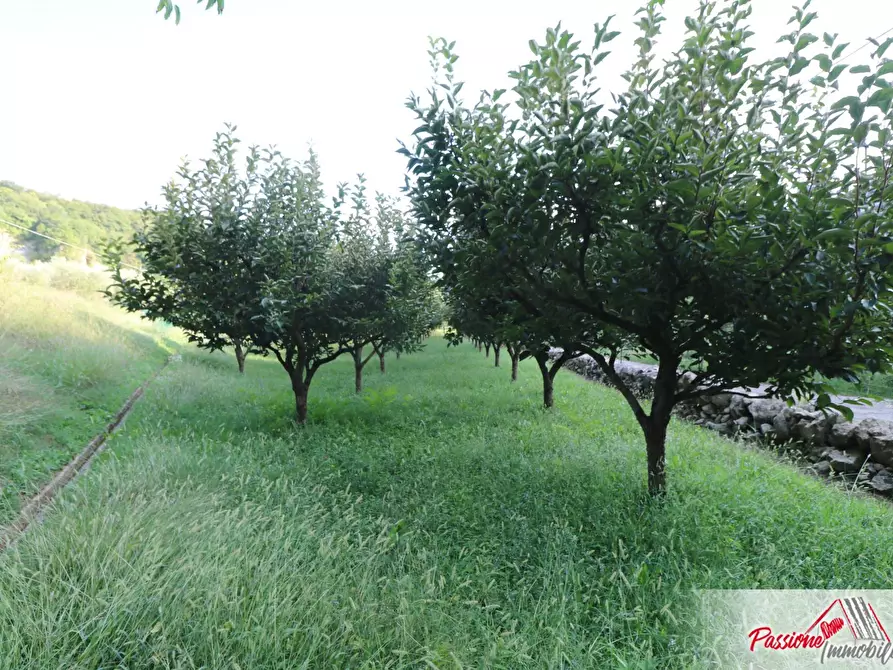 Immagine 12 di Terreno agricolo in vendita  in Strada Del Borago a Verona