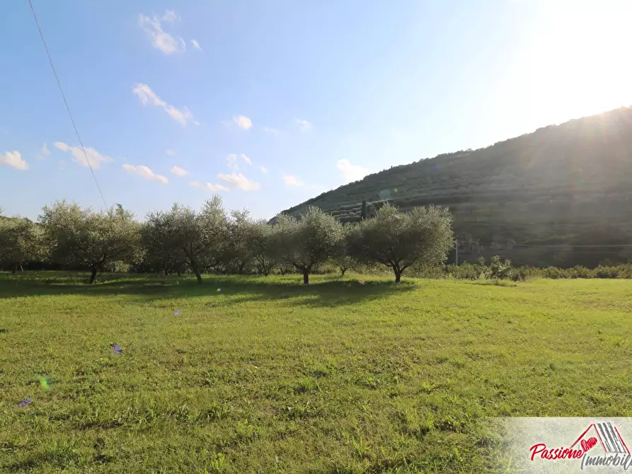 Immagine 13 di Terreno agricolo in vendita  in Strada Del Borago a Verona