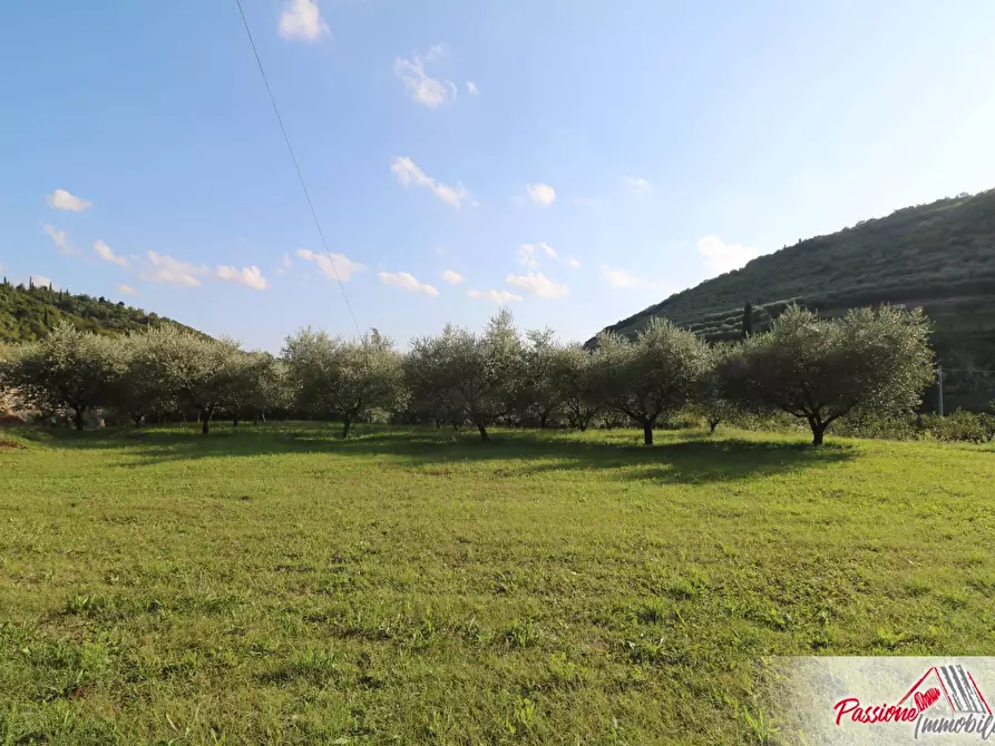 Immagine 14 di Terreno agricolo in vendita  in Strada Del Borago a Verona