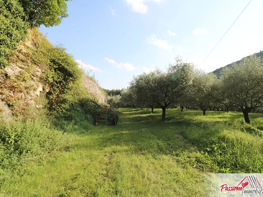 Immagine 16 di Terreno agricolo in vendita  in Strada Del Borago a Verona