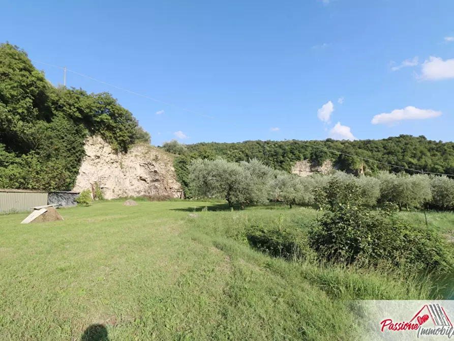 Immagine 17 di Terreno agricolo in vendita  in Strada Del Borago a Verona