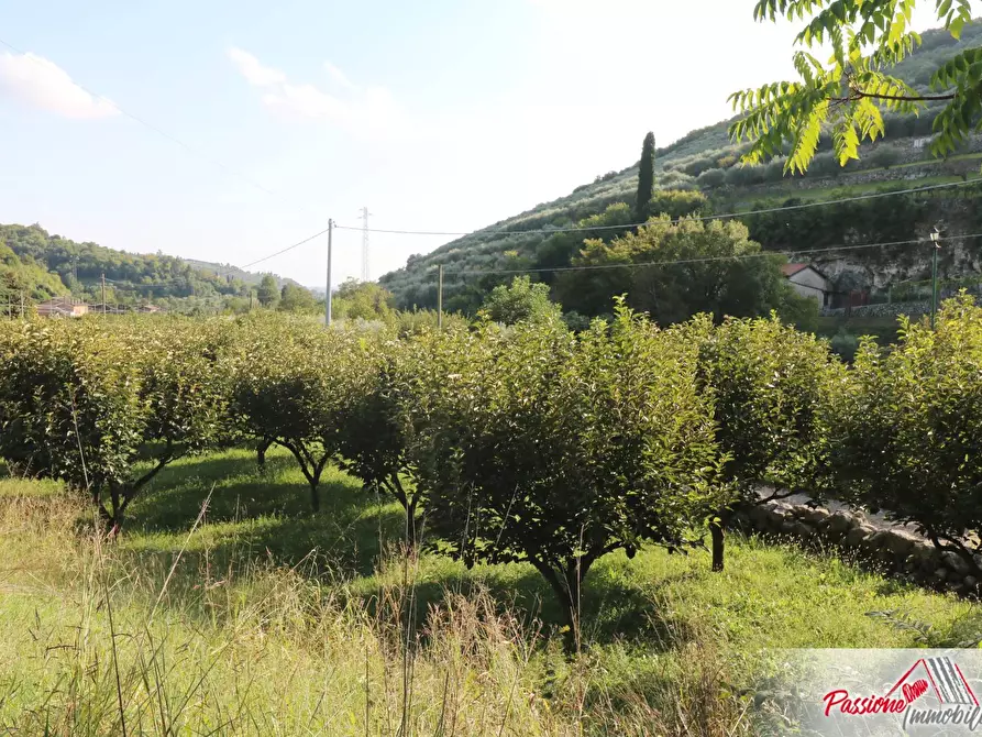 Immagine 18 di Terreno agricolo in vendita  in Strada Del Borago a Verona