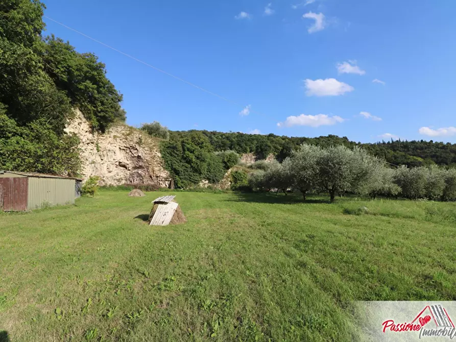 Immagine 19 di Terreno agricolo in vendita  in Strada Del Borago a Verona