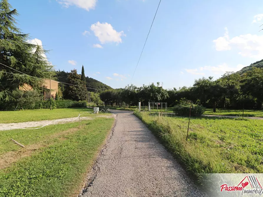 Immagine 21 di Terreno agricolo in vendita  in Strada Del Borago a Verona