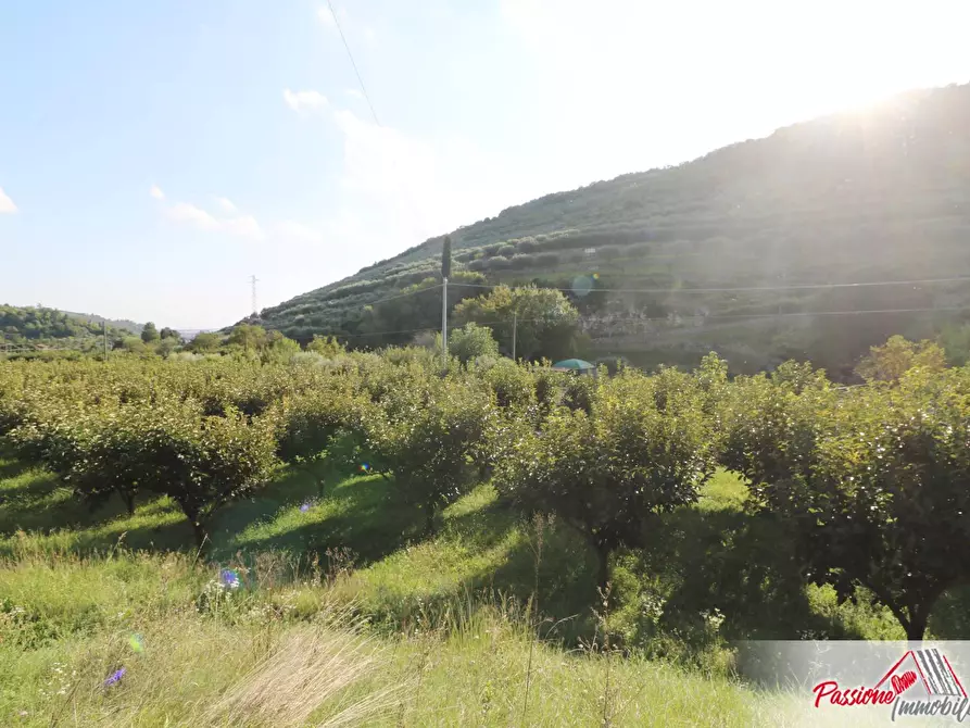 Immagine 23 di Terreno agricolo in vendita  in Strada Del Borago a Verona