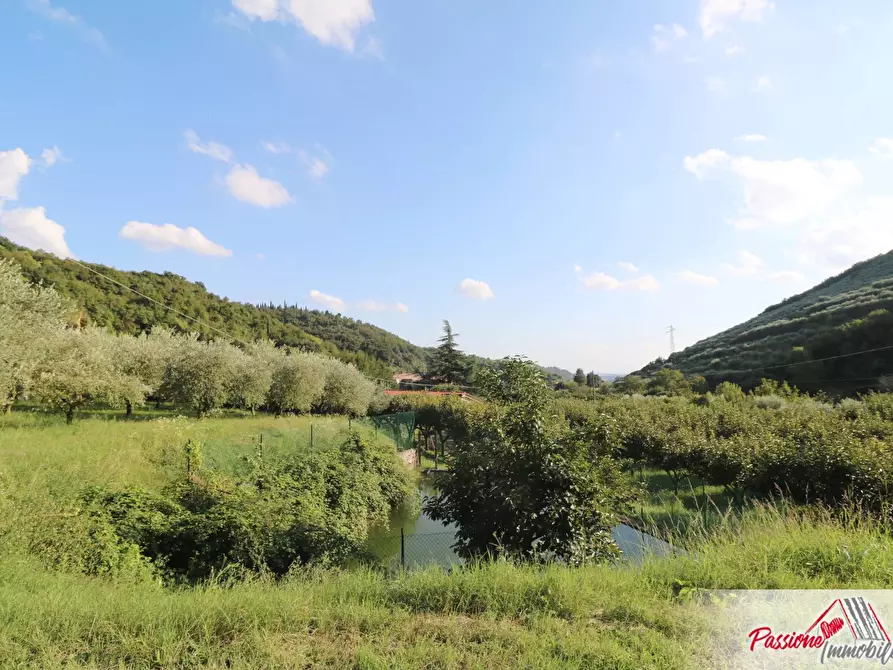 Immagine 24 di Terreno agricolo in vendita  in Strada Del Borago a Verona