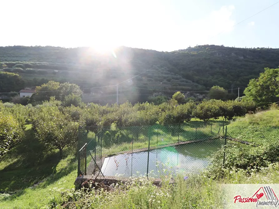 Immagine 25 di Terreno agricolo in vendita  in Strada Del Borago a Verona