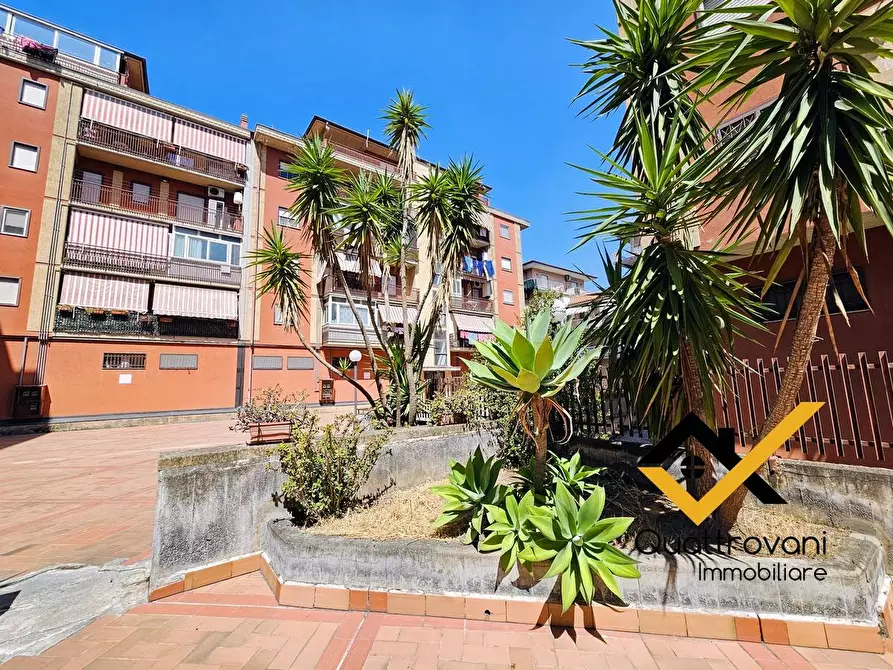 Immagine 1 di Appartamento in affitto  in Via Adelaide Bernardini a Catania