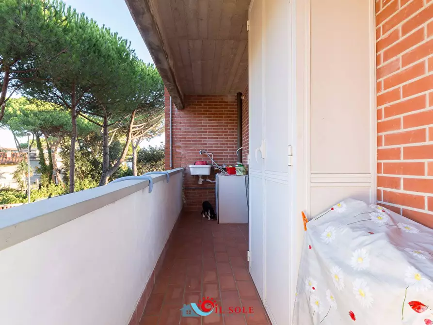 Immagine 11 di Appartamento in affitto  a Pisa