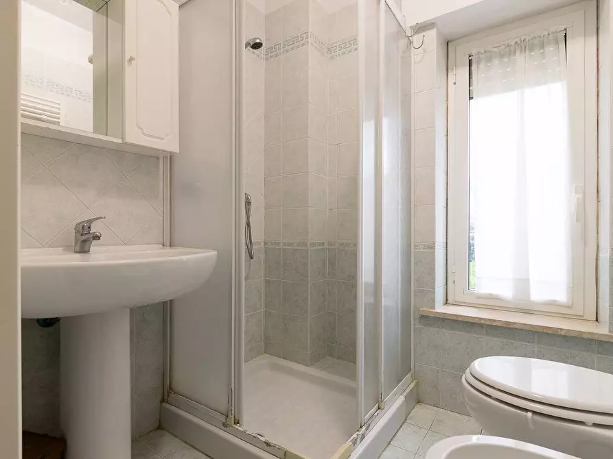 Immagine 6 di Appartamento in affitto  a Pisa