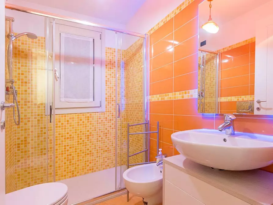 Immagine 16 di Appartamento in affitto  a Pisa