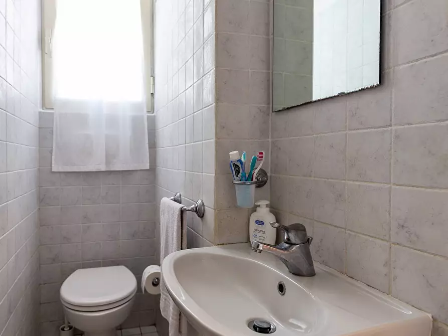 Immagine 12 di Appartamento in affitto  a Pisa