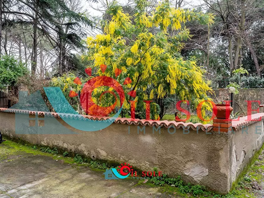 Immagine 6 di Appartamento in vendita  a Pisa