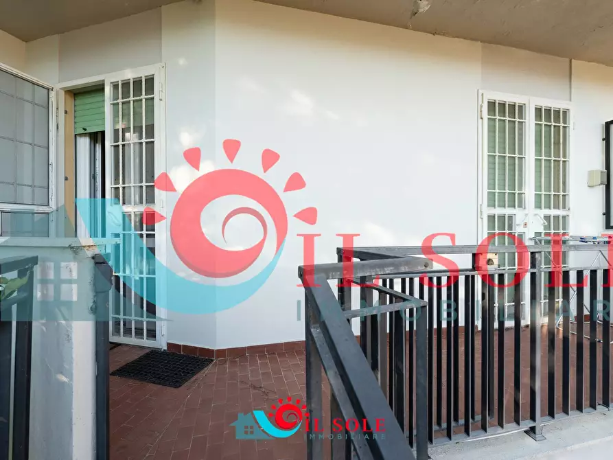 Immagine 25 di Appartamento in affitto  a Pisa