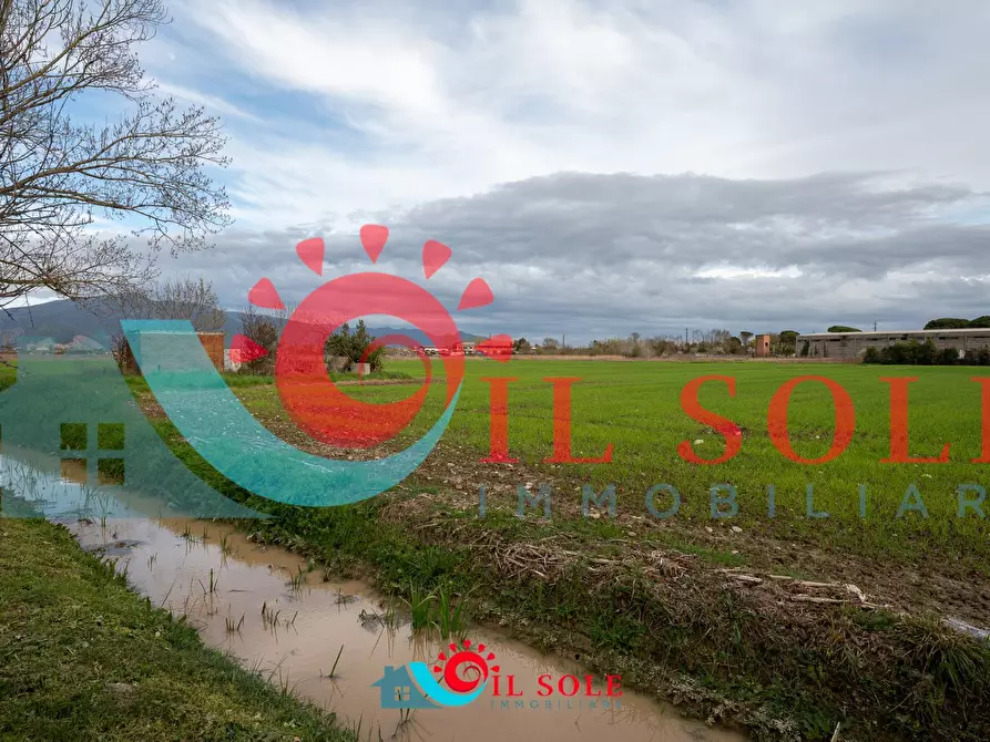 Immagine 24 di Appartamento in vendita  a Pisa