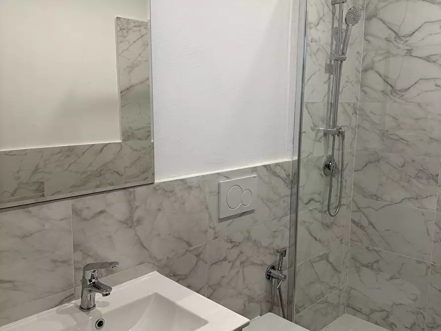 Immagine 4 di Agriturismo in affitto  a Viareggio