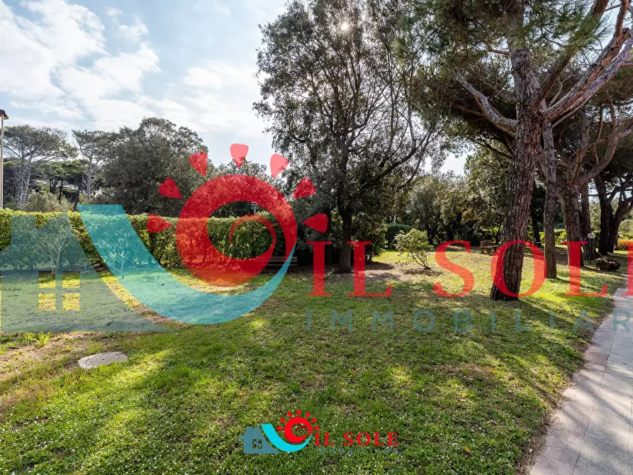 Immagine 17 di Appartamento in vendita  a Pisa