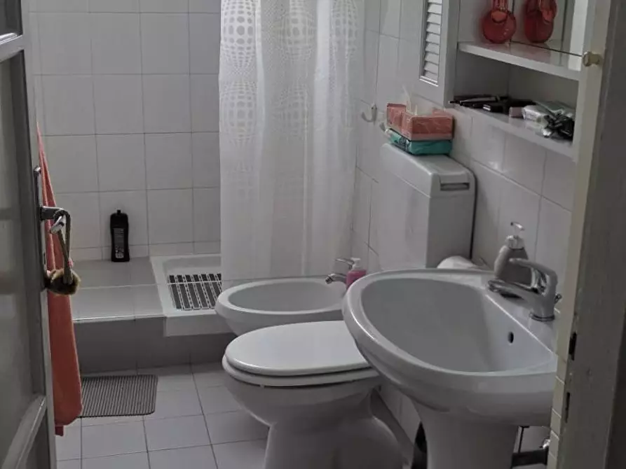 Immagine 11 di Appartamento in affitto  a Pisa