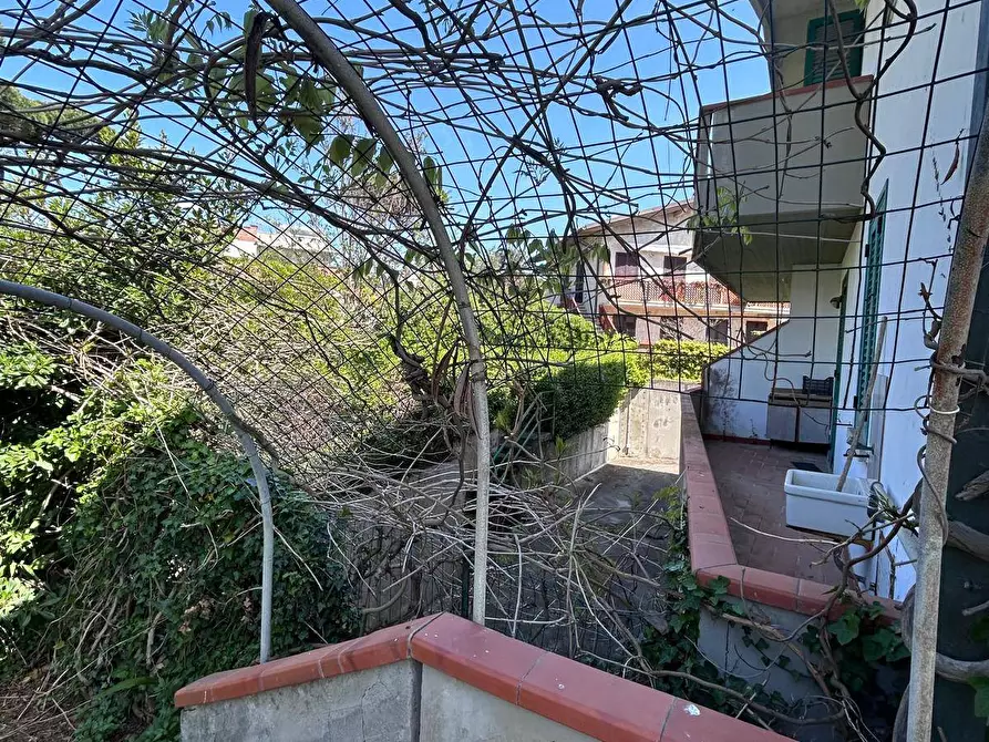 Immagine 3 di Appartamento in vendita  a Pisa