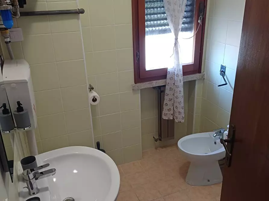Immagine 7 di Appartamento in affitto  a Pisa