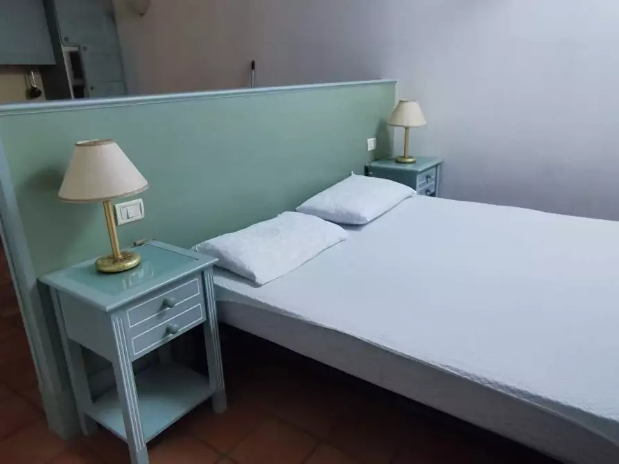 Immagine 3 di Appartamento in affitto  a Pisa
