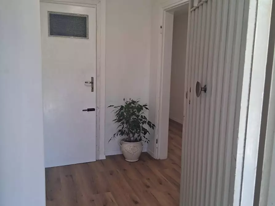 Immagine 2 di Appartamento in affitto  a Pisa