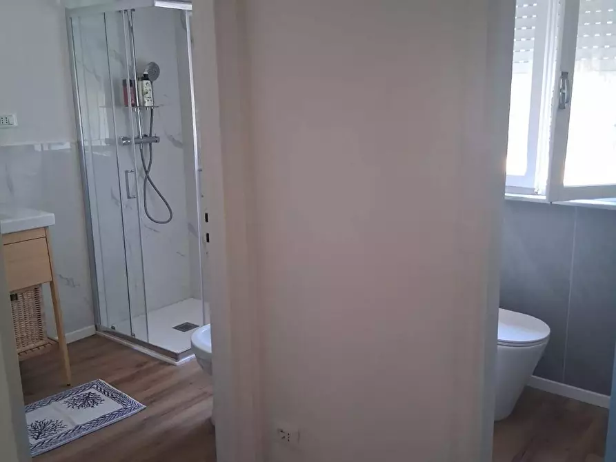 Immagine 9 di Appartamento in affitto  a Pisa