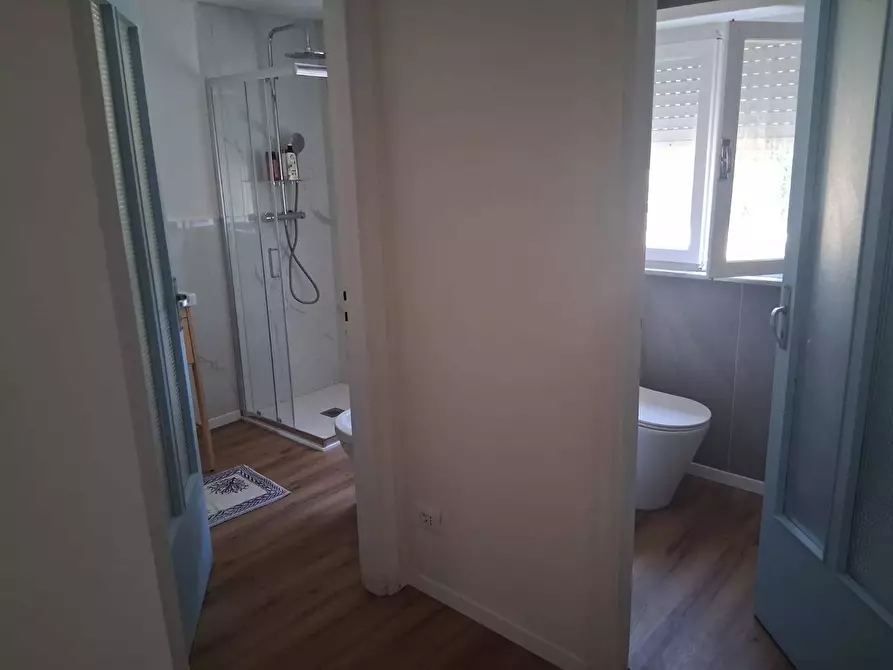 Immagine 12 di Appartamento in affitto  a Pisa