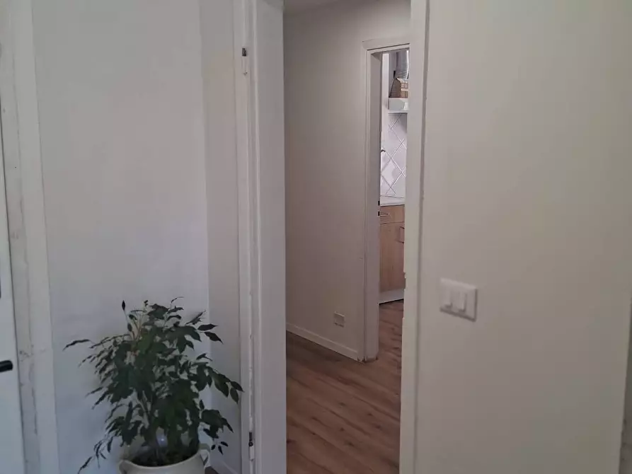 Immagine 10 di Appartamento in affitto  a Pisa