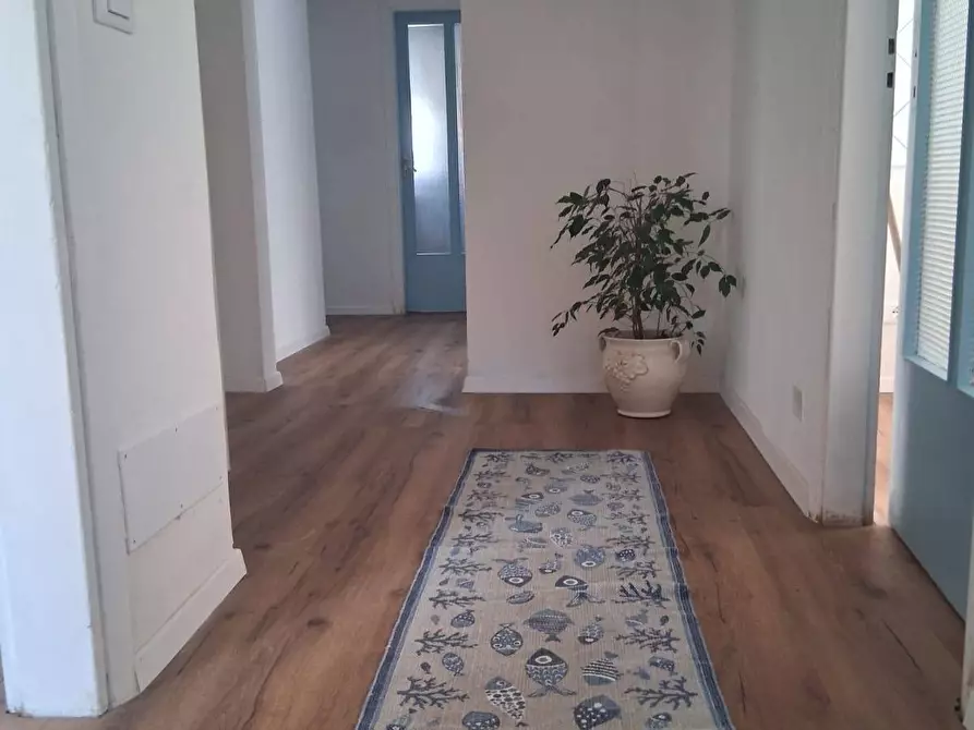 Immagine 3 di Appartamento in affitto  a Pisa