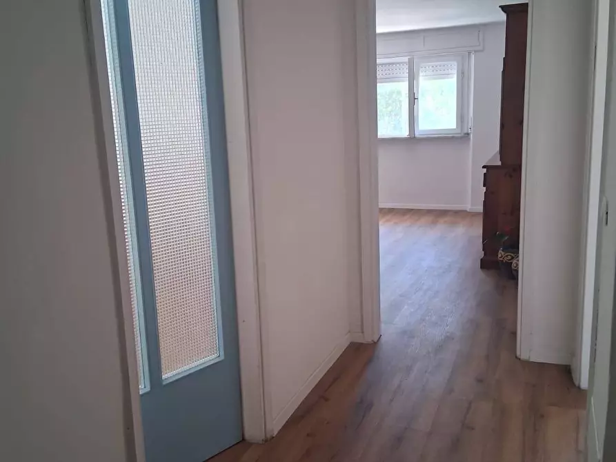 Immagine 11 di Appartamento in affitto  a Pisa