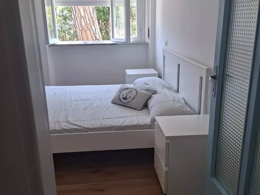 Immagine 14 di Appartamento in affitto  a Pisa