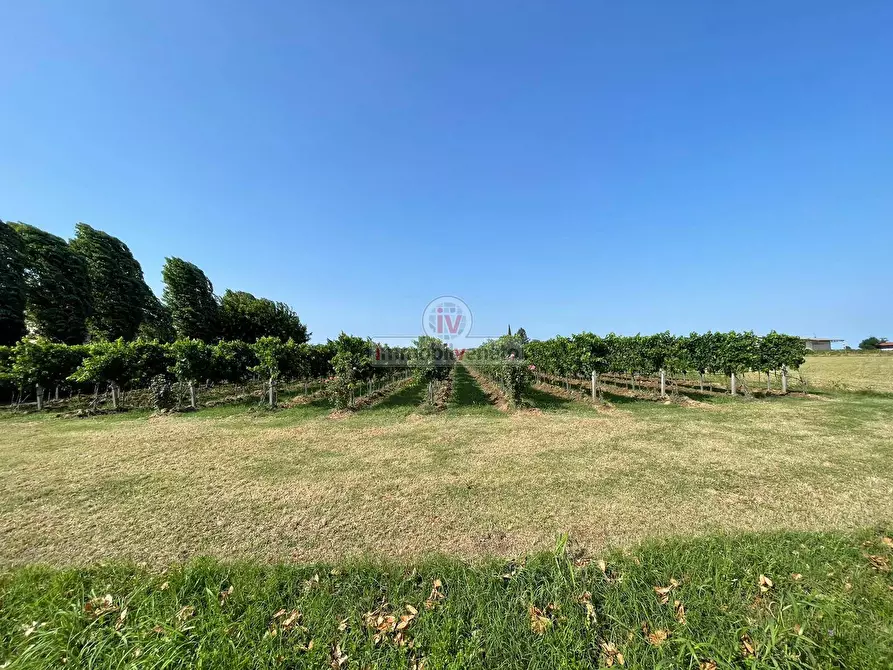 Immagine 19 di Rustico / casale in vendita  in VIA SAN SEBASTIANO SNC a Cologna Veneta