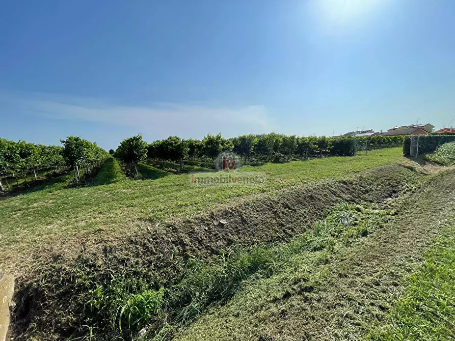 Immagine 21 di Rustico / casale in vendita  in VIA SAN SEBASTIANO SNC a Cologna Veneta