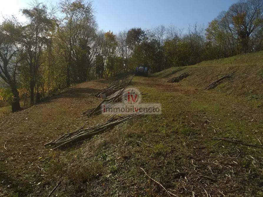 Immagine 2 di Terreno residenziale in vendita  in VIA ROMA 52 a Brendola