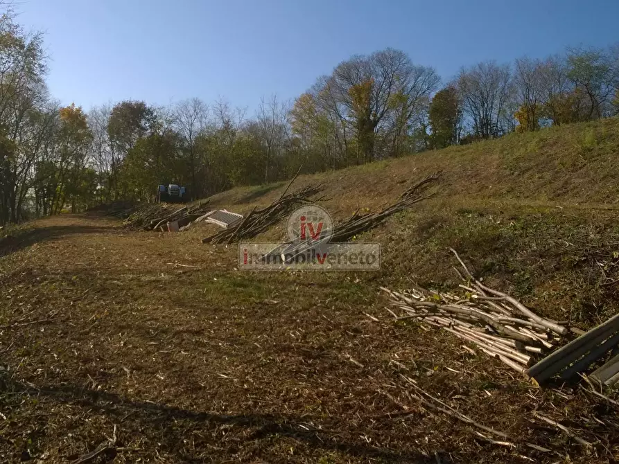 Immagine 3 di Terreno residenziale in vendita  in VIA ROMA 52 a Brendola