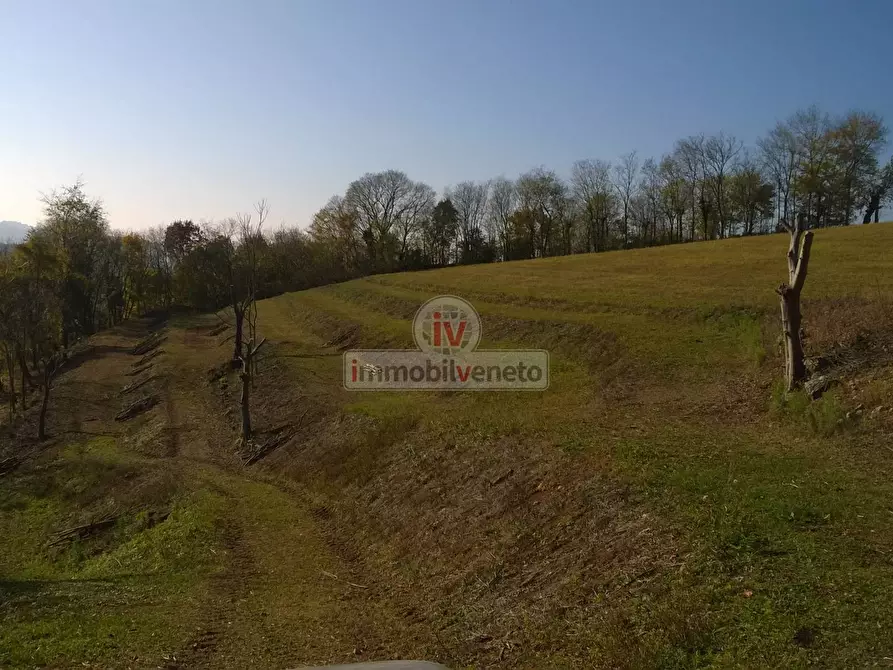 Immagine 4 di Terreno residenziale in vendita  in VIA ROMA 52 a Brendola