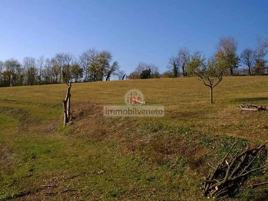 Immagine 5 di Terreno residenziale in vendita  in VIA ROMA 52 a Brendola